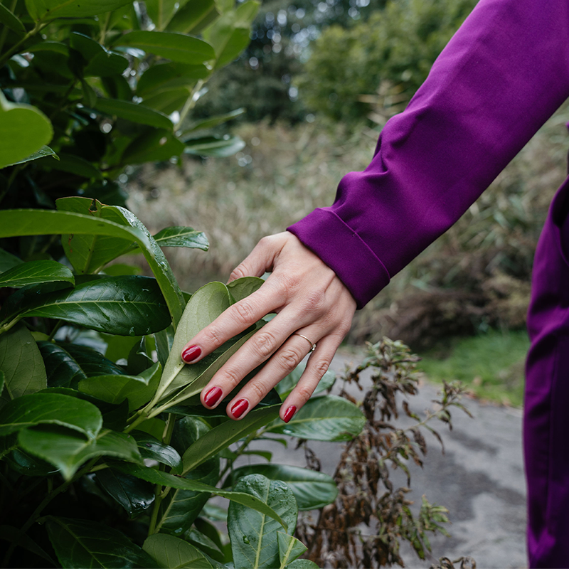 Detail van wandeling: hand langs blad